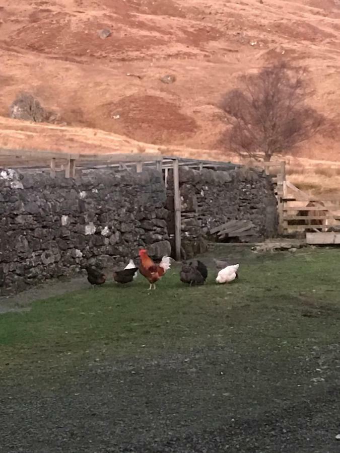 Garrison Of Inversnaid Farm With Hot Tub Exterior foto